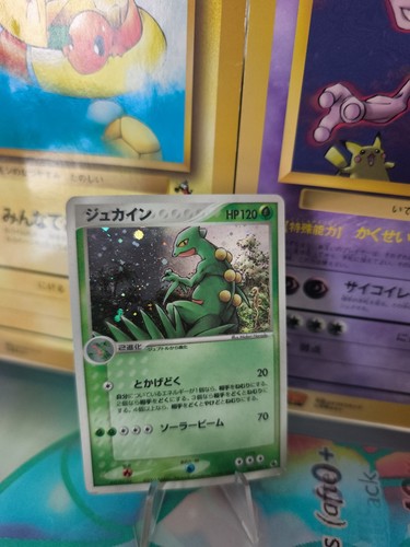 Pokemon karte card holo - card,