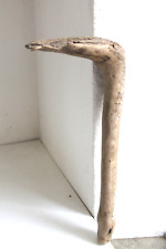 Schwemmholz Treibholz