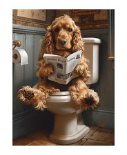 Bild Poster Leinwanddruck