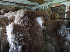 kleine Bunde Heu,1.Schnitt 2024,an Selbstabholer abzugeben. 2,00 Euro/Bund