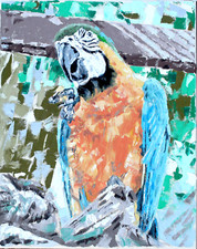 Papagei, Gelbbrust - Ara auf