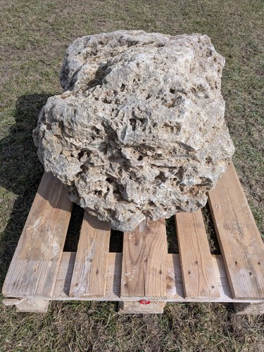 Muschelkalk felsen lbh 87 - muschelkalk,