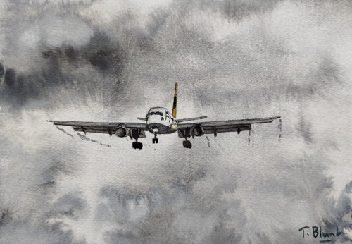 Original aquarell condor - -,