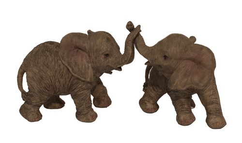 Elefant elefanten baby paar - elefanten,