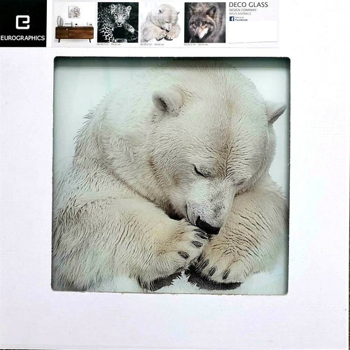 Eurographics glasbild 30x30cm - glasbild,