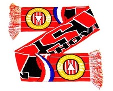 PSV Eindhoven Fan Schal -