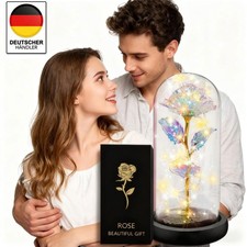 Ewige Rose im Glas Galaxy Rose