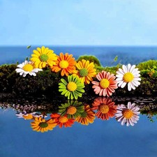 Damen Gänseblümchen Brosche