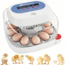 Inkubator Brutmaschine