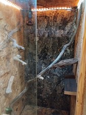 Terrarium 120x60x60 cm mit Korkrückwand und Wärmelampe.