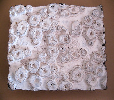 Holzstempel mit indischem Sari Motiv Sari-Stempel 15 x 13,5 Stoffstempel Nr. 14