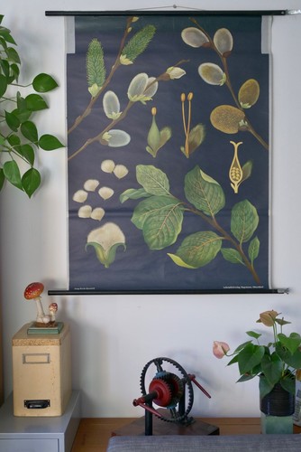 Vintage schulwandkarte - vintage, |