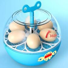 6 Eier Inkubator Mini sichtbar