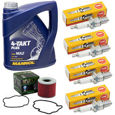 Inspektion 4L Öl Set für