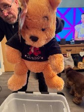 Disney Store Winnie Puuh