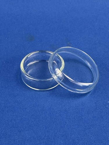 Petrischale mm glas - x,