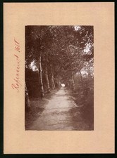 Ansicht Rosswein, Blick in