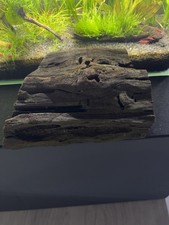 Aquarium Wurzel Deko Talawawurzel Mangroven + Schwimmpflanzen