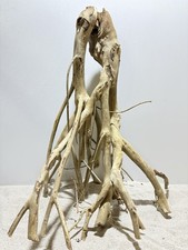 Talawa Wurzel XXL ähnlich