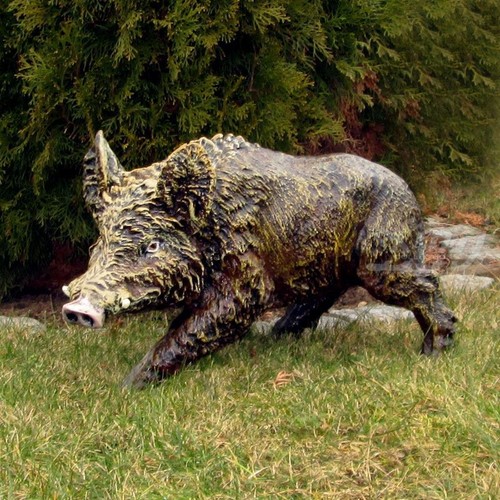 Keiler wildschwein cm - keiler, 51