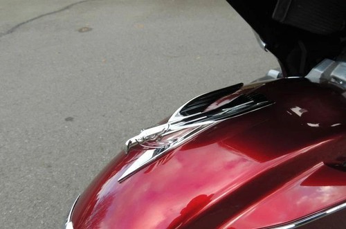 Kotflügel adler neu honda - kotflügel,