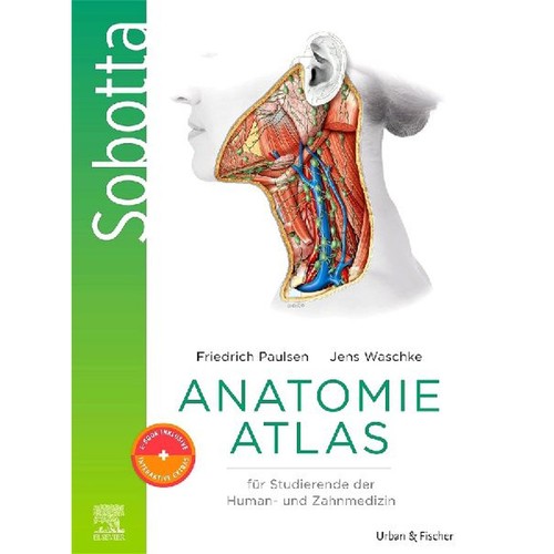 Sobotta anatomie atlas für - sobotta,