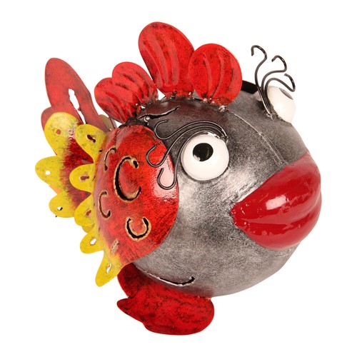 Kugelfisch paloma - kugelfisch, "paloma"