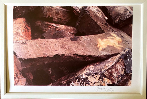 Joseph beuys steinhase 1982 - beuys, [1982]
