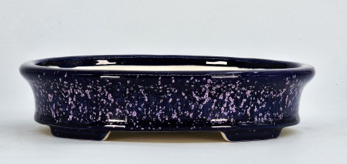 Bonsaischale koyo tokoname - koyo,