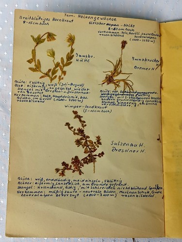 Alpen herbarium original - alpen,