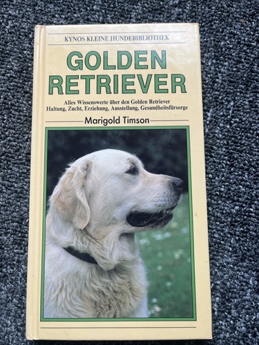 Golden retriever - golden,