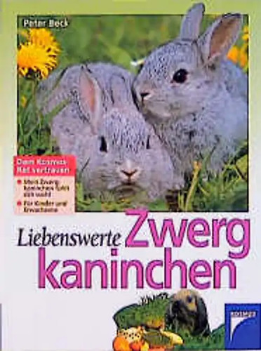 Liebenswerte zwergkaninchen - liebenswerte,