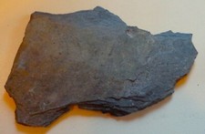 Schieferplatte Bundenbach Natur    (S636)  Schau mal durch !??Lesen !