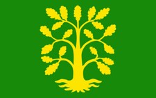 2x Auto Aufkleber Flagge