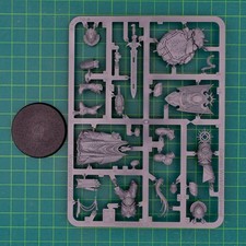 Schildkommandant Legio