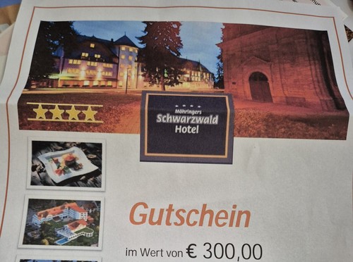 Möhringers schwarzwald hotel - möhringers,