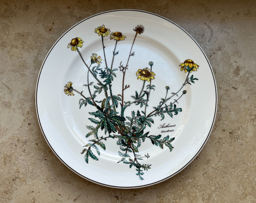 Villeroy boch botanica - &,
