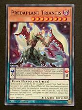 Predaplant Triantis |