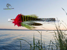 💥 3er Set XXL Flashtail