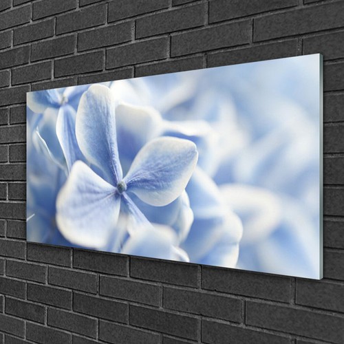Glasbilder 100x50 wandbild - glasbilder,