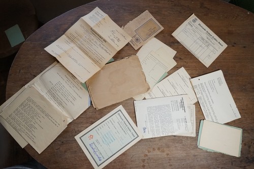 Ddr pferdezucht halle - ddr,