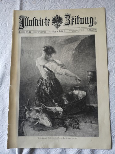 1895 zeitungsdruck 254 - 1895,