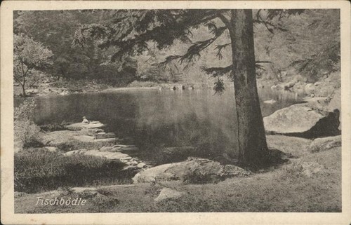 Metzeral haut rhin fischbödle - haut,