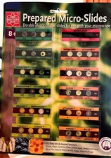 Edu-Toys präparierte Objektträger Set (12 Objektträger, 36 Proben) Science Kit fo