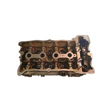 Cylinder Head Genuine BMW1