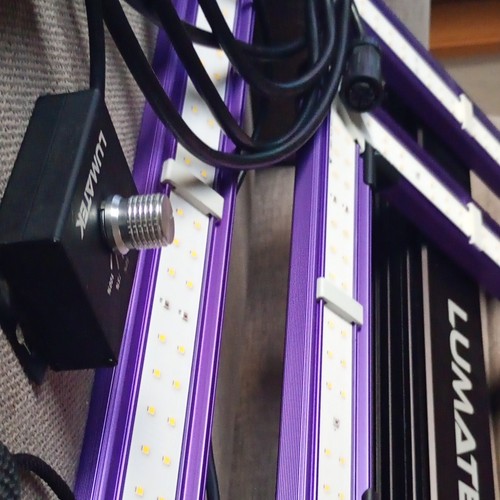 Lumatek ats200w pro led - lumatek,