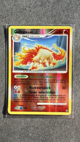 Galopp - ,