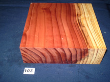 Redwood mammutbaum - redwood,