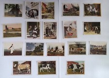18 alte Sammelbilder ‚Auf