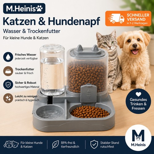 Katzen hunde wasser - hunde, und